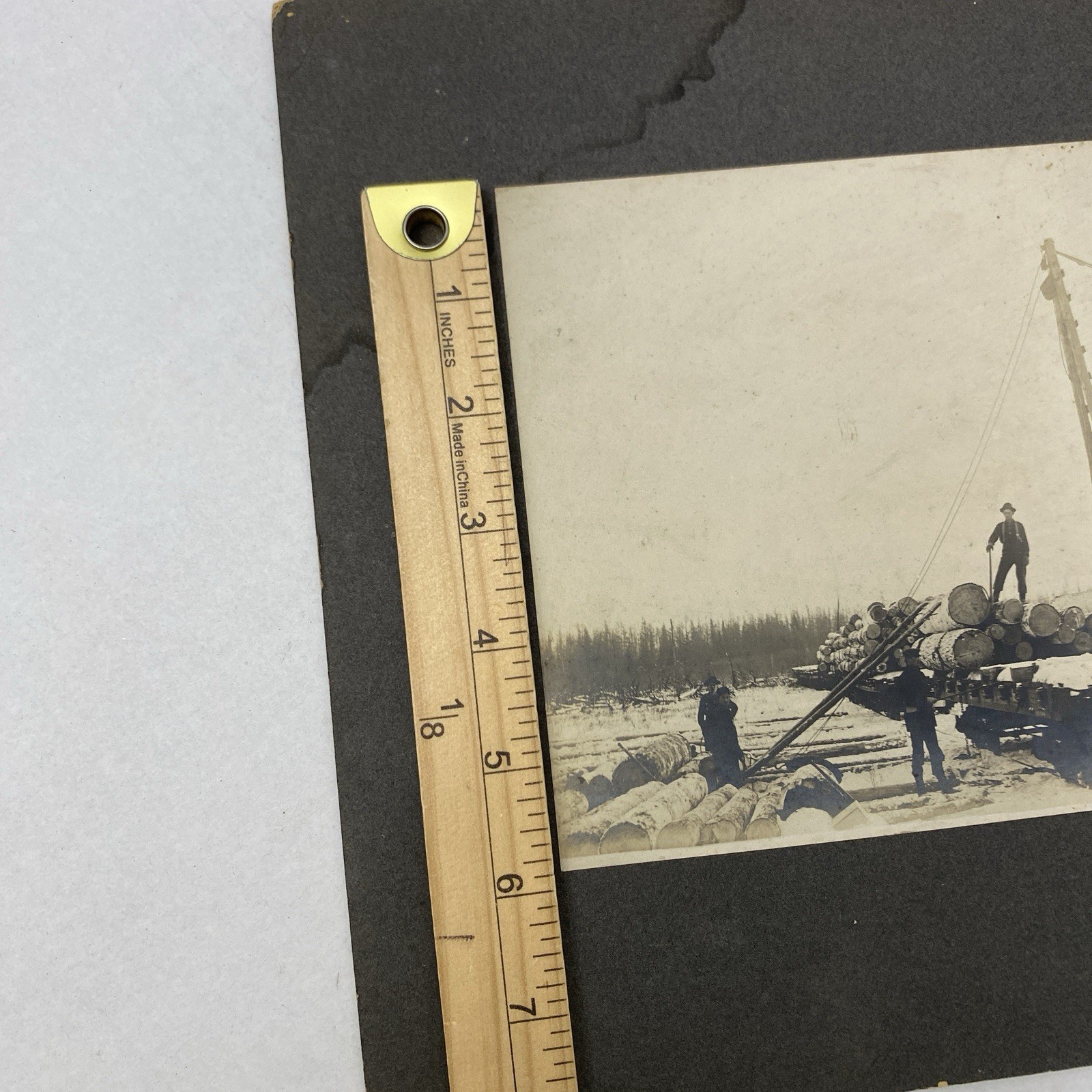 Lumber Camp Wisconsin. Early 1900’s Photo 6×8 Inch