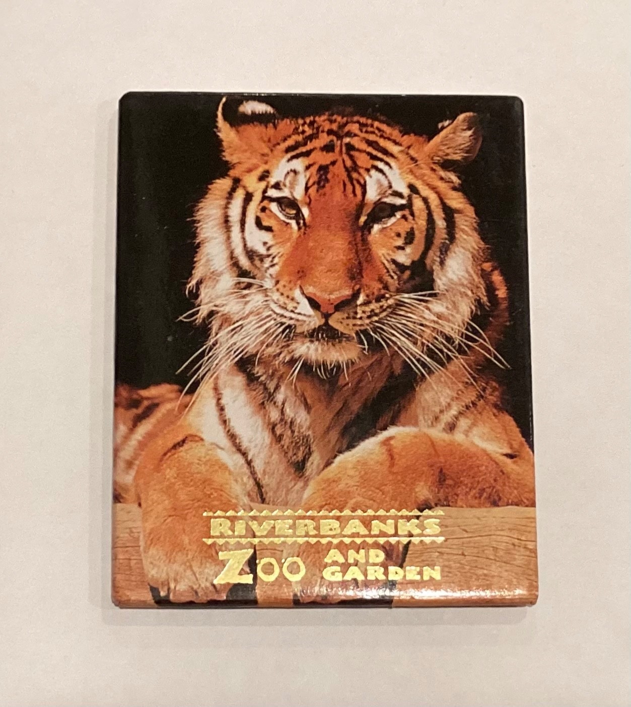 Bengal Tiger Riverbanks Zoo Garden in Columbia South Carolina Fridge Magnet LV4