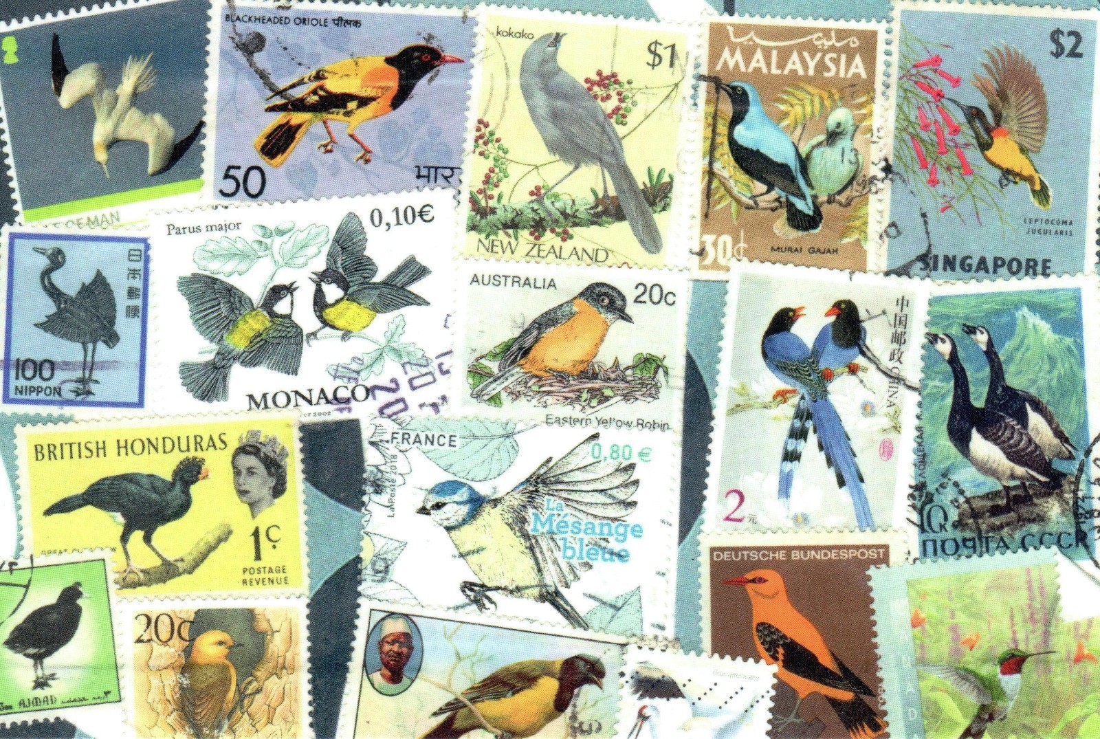 5 Original Postcards for Postcrossers World Wide Vintage Bird Stamps Collage