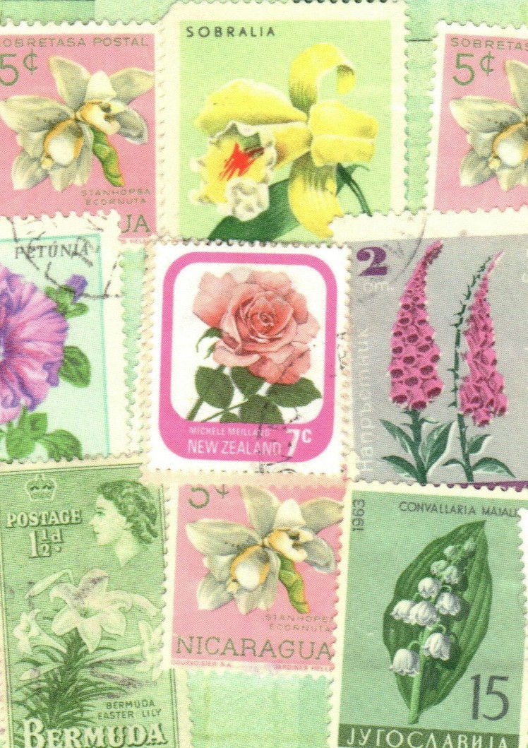 🟢5 Original Postcards for Postcrossers STAMPS FLOWERS BUTTERFLIES World-wide🟤
