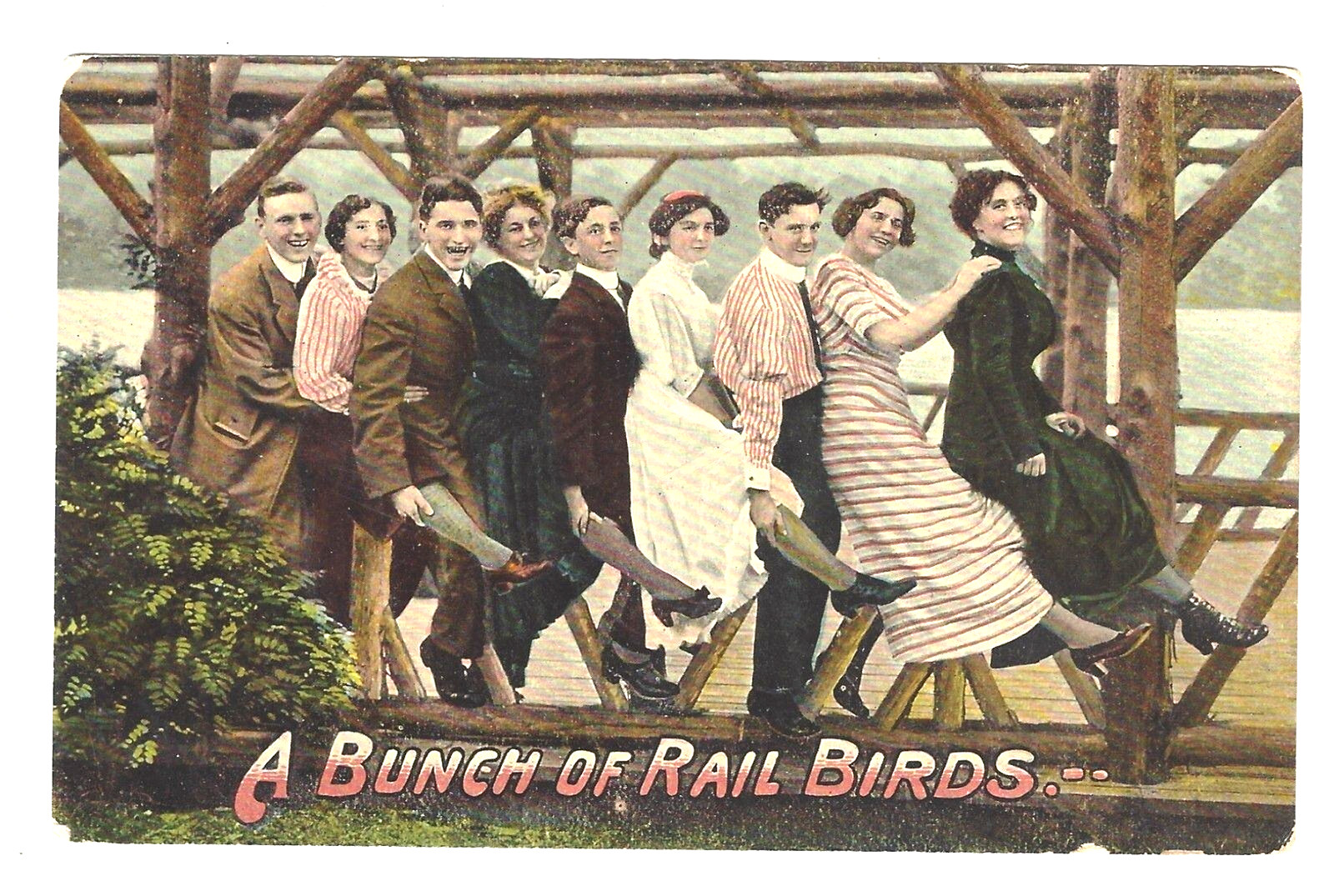Postcard Divided 1 Cent Stamp USA Theochrom Series 1230-52 “A Bunch of Rail Bird
