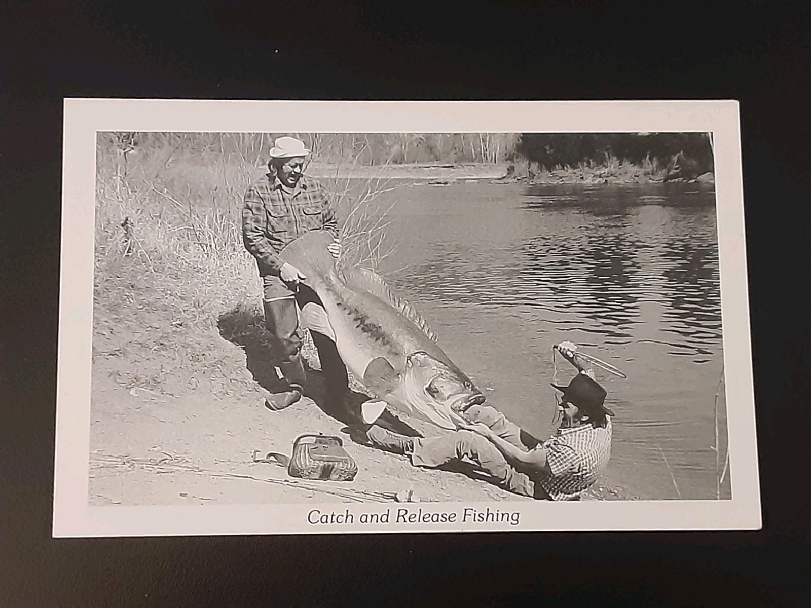 Vintage Duckboy 11 Hunting & Recreation Comic Postcards Black and White Unused