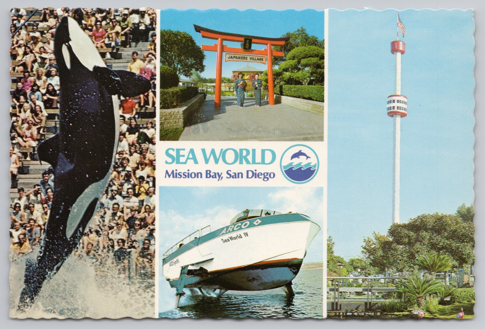 Sea World Mission Bay San Diego Vintage Continental Chrome 4×6 Postcard