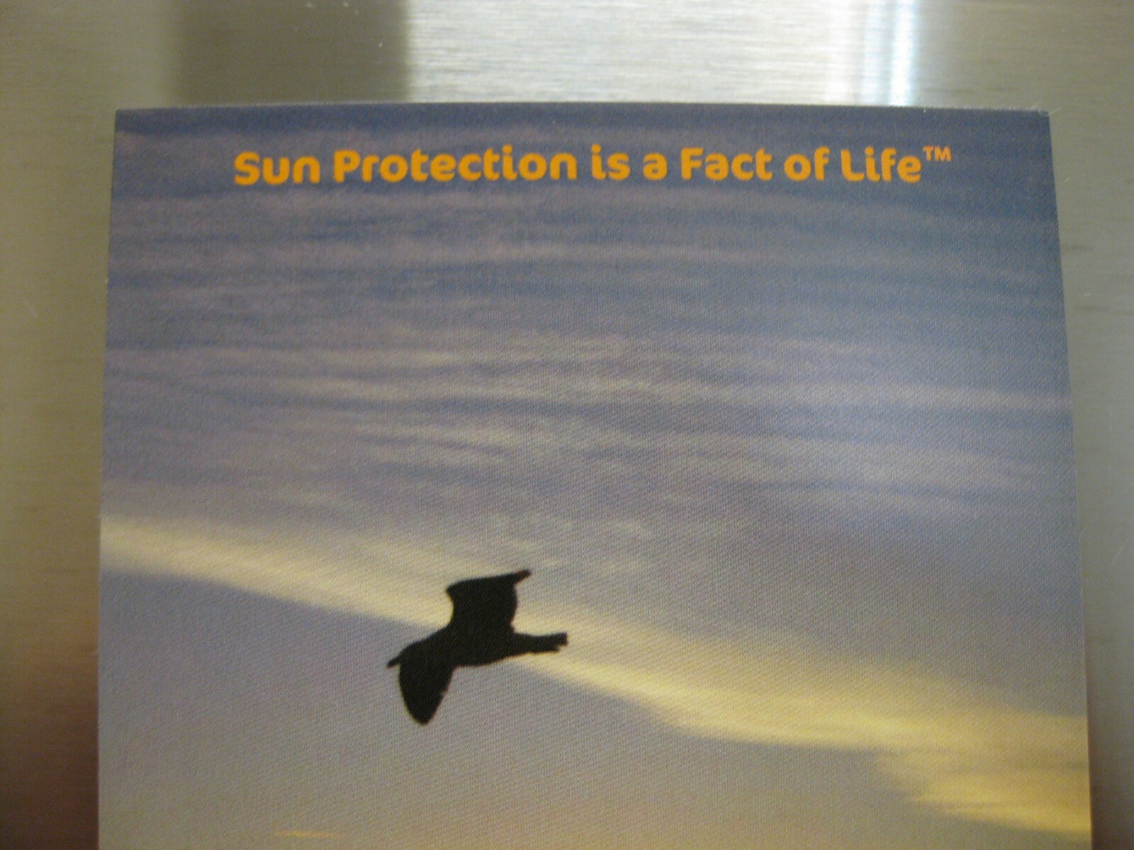 FRIDGE MAGNET 4×6″ SUN PROTECTION IS A FACT OF LIFE Souvenir Refrigerator MAGNET