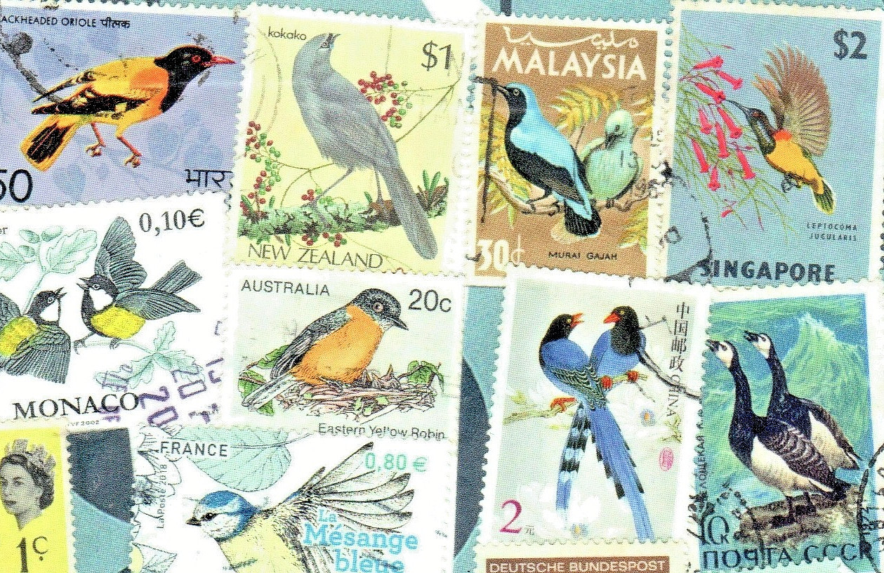 5 Original Postcards for Postcrossers World Wide Vintage Bird Stamps Collage
