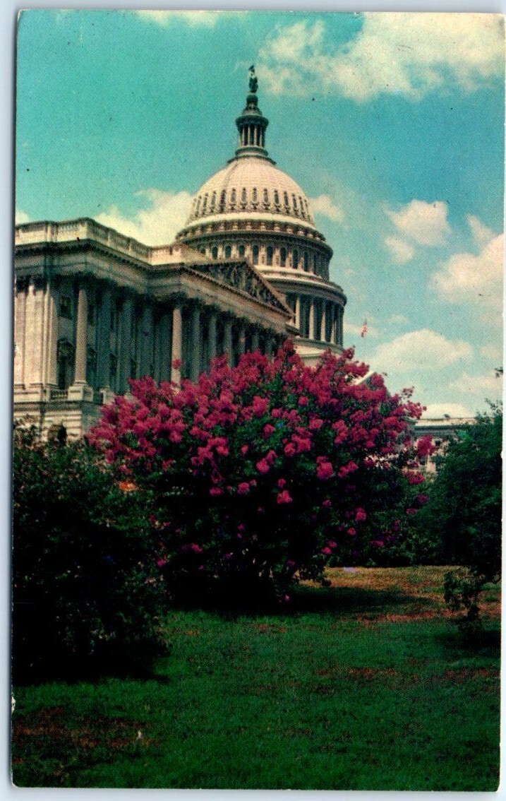 Postcard – The United States Capitol – Washington, D. C.