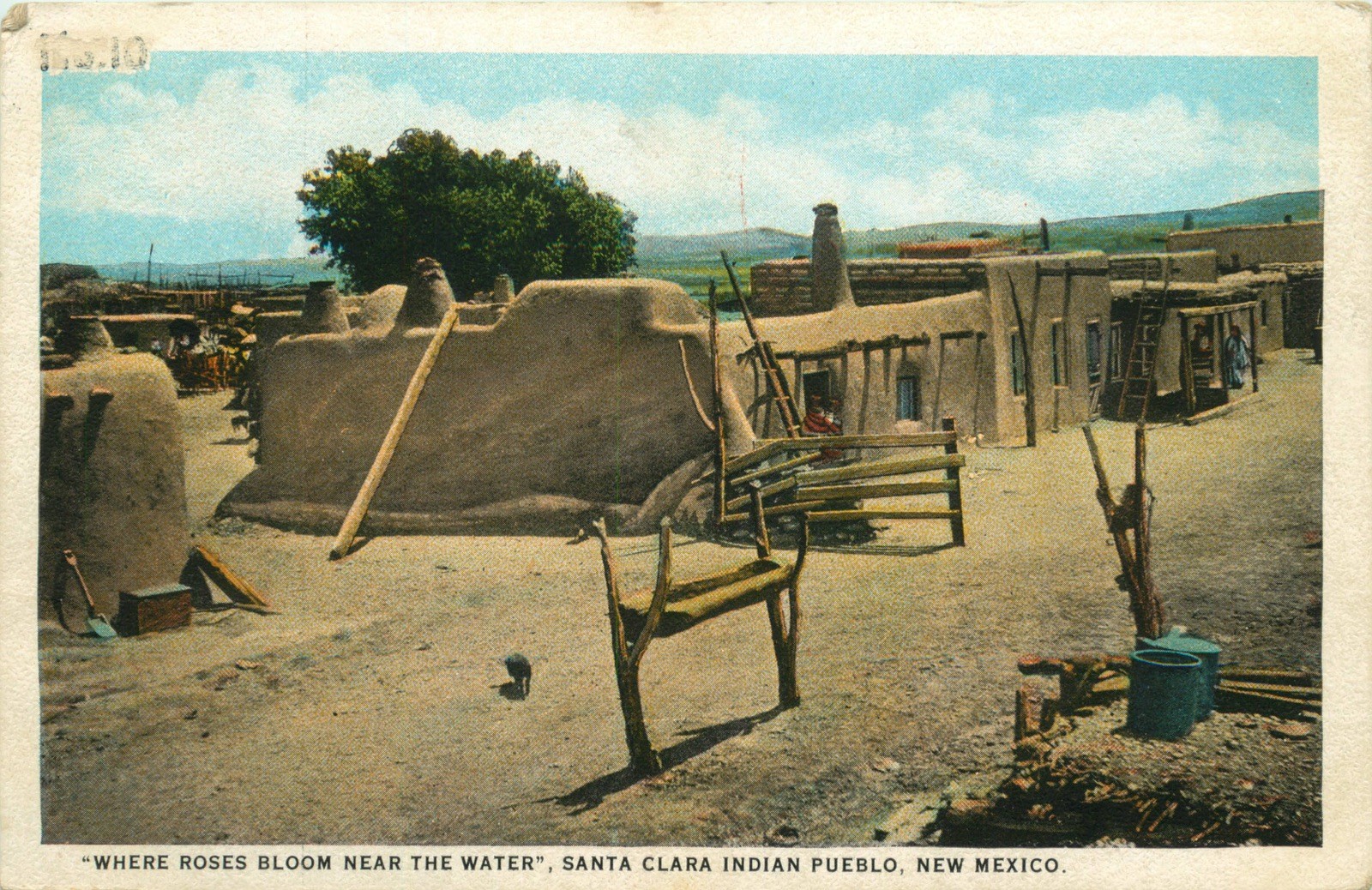 1927 Where Roses Bloom Near The Water, Santa Clara Indian Pueblo NM Vtg Postcard