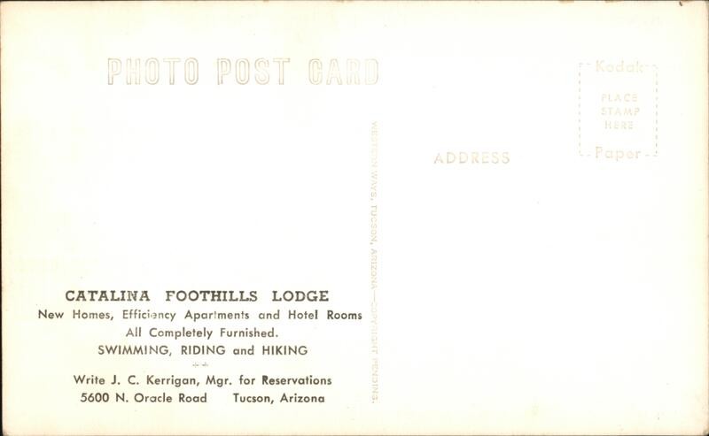 Tucson, Arizona AZ Outdoor Pool Catalina Foothills Lodge Original Vintage RPPC