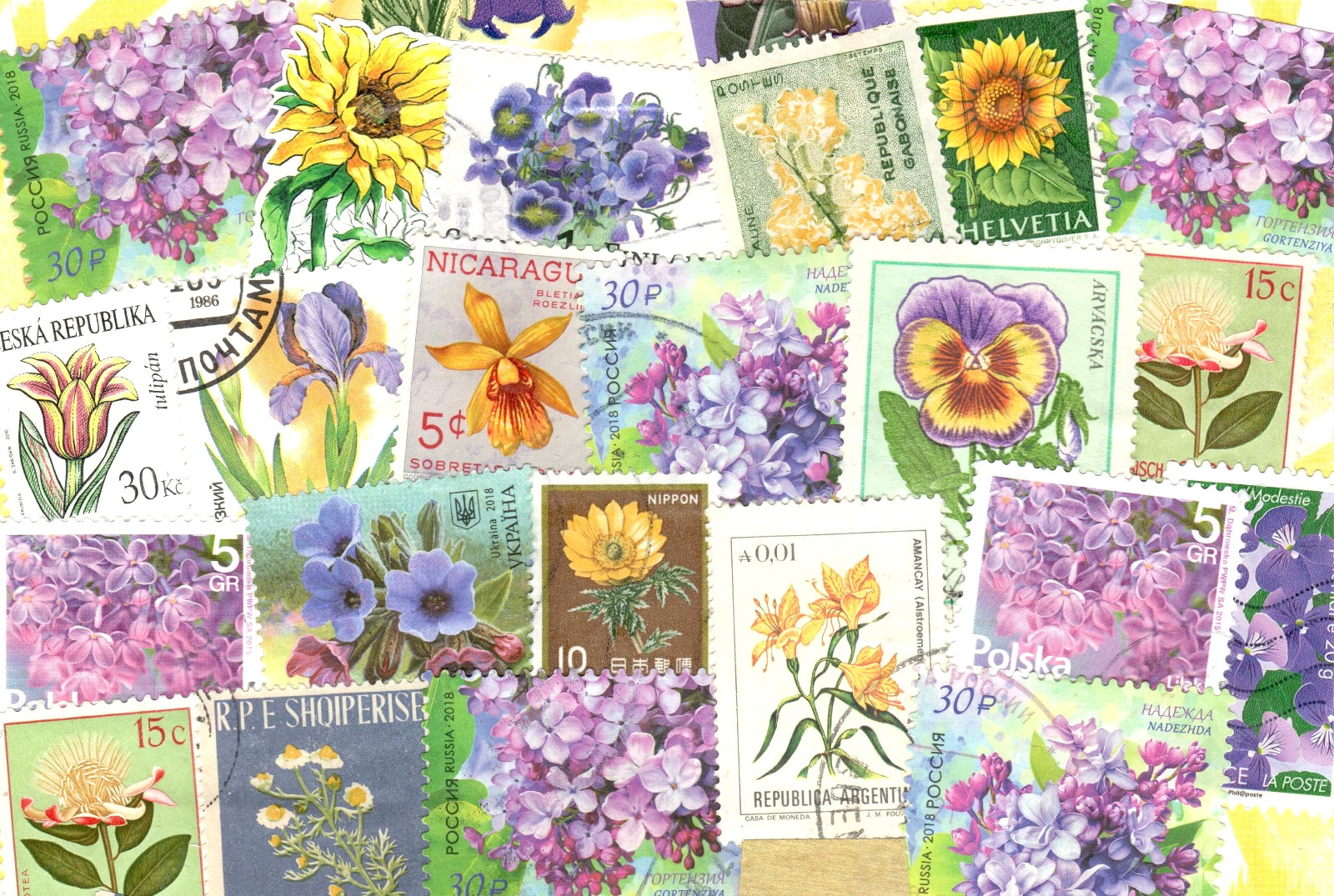 🟢5 Original Postcards for Postcrossers STAMPS FLOWERS BUTTERFLIES World-wide🟤