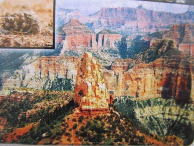GRAND CANYON ARIZONA MAGNETIC POSTCARD NEW SEALED FREE SHIPPING
