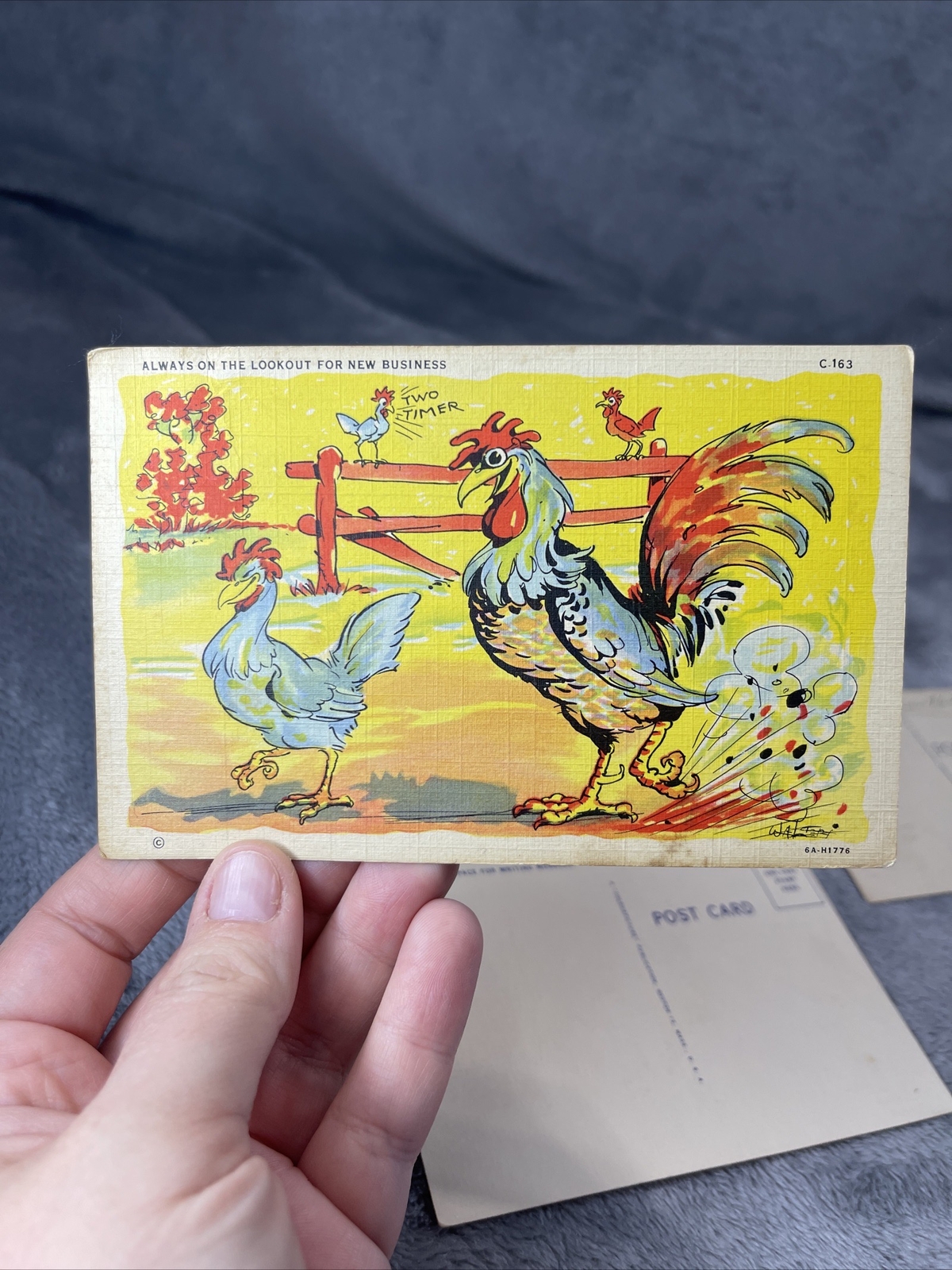 Vintage Linen Funny Humorous Postcard Lot of 3