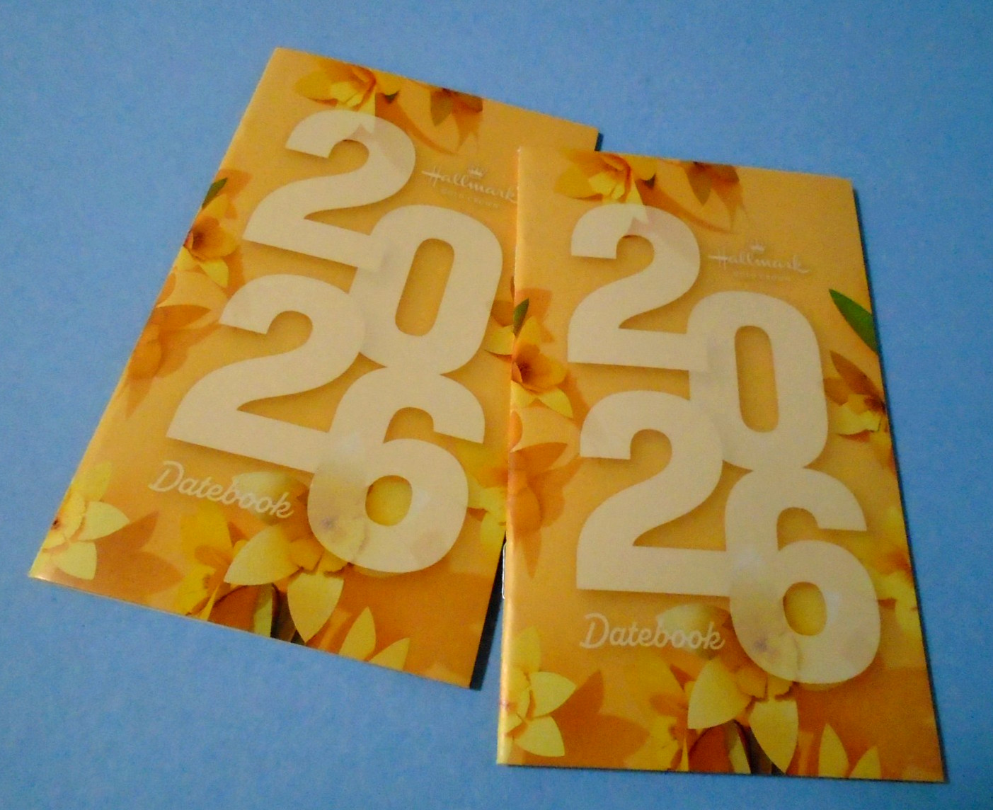 Set of 2 Hallmark 2026 14 Month Datebook Planner Write & Remember