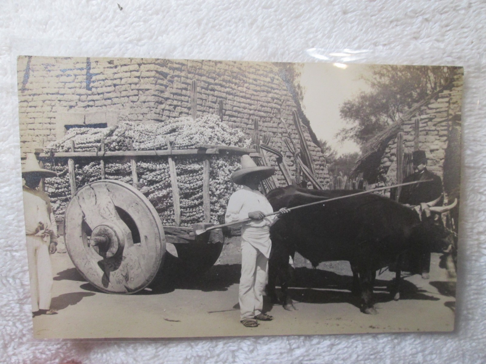 Antique RPPC Alfredo Maspero Garlic Buyer New York Photo Postcard Unused