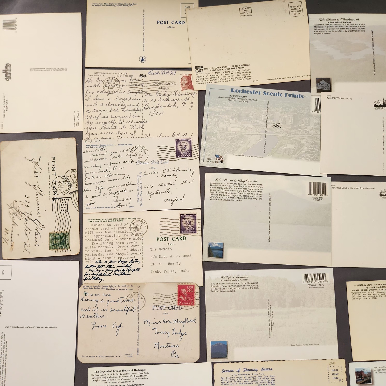 Lot of 75 NEW YORK Postcard Wildlife Nature Cities Landmark 1904 -2000’s Mix