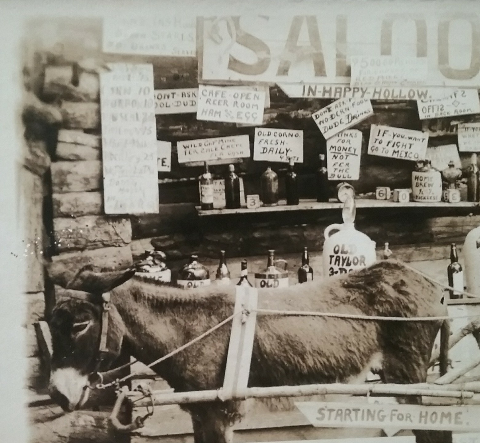 RPPC HOT SPRINGS AR McLeod’s Amusement Park Happy Hollow Saloon Postcard 1904-18