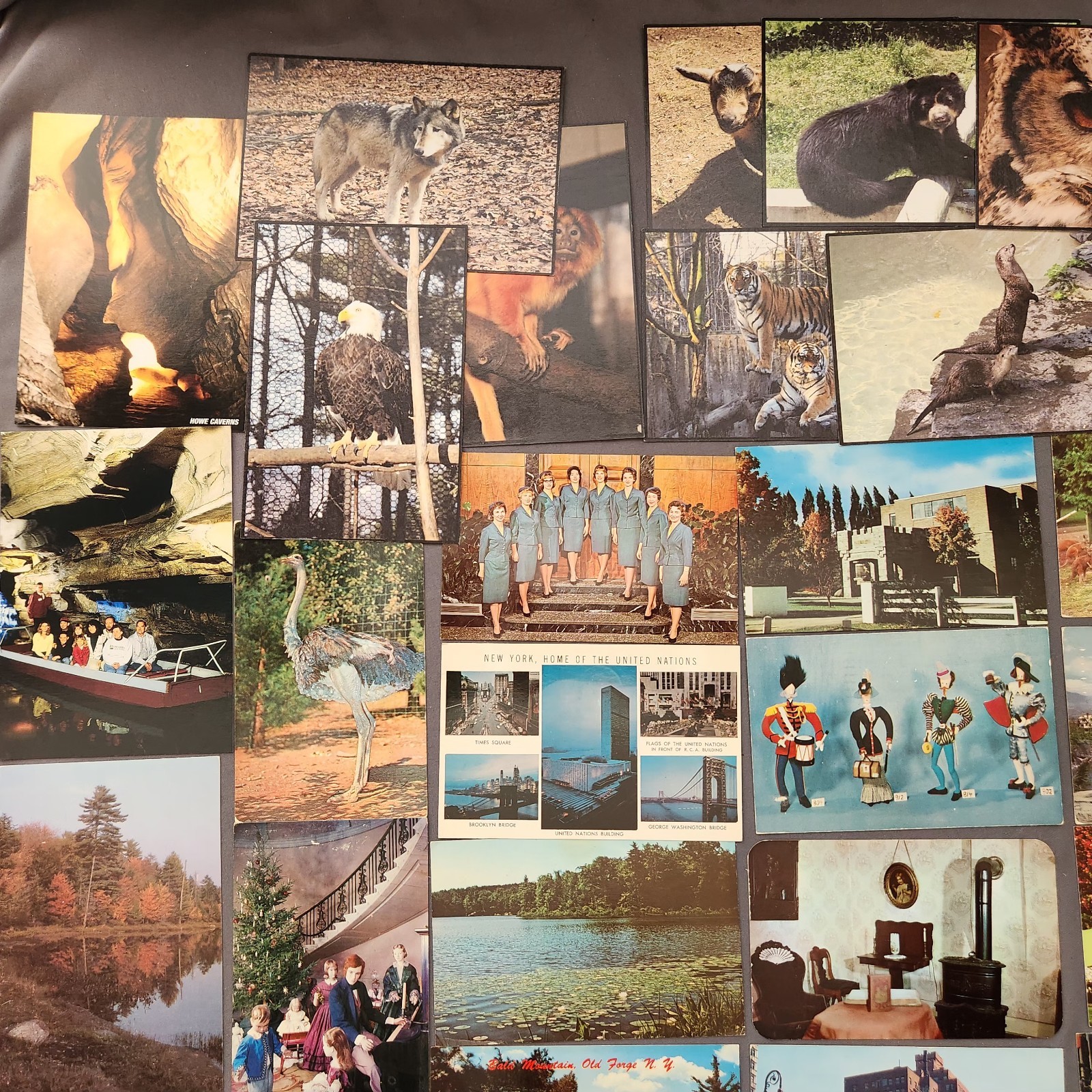 Lot of 89 NEW YORK Postcard Wildlife Nature Cities Landmark 1907 -2000’s Mix