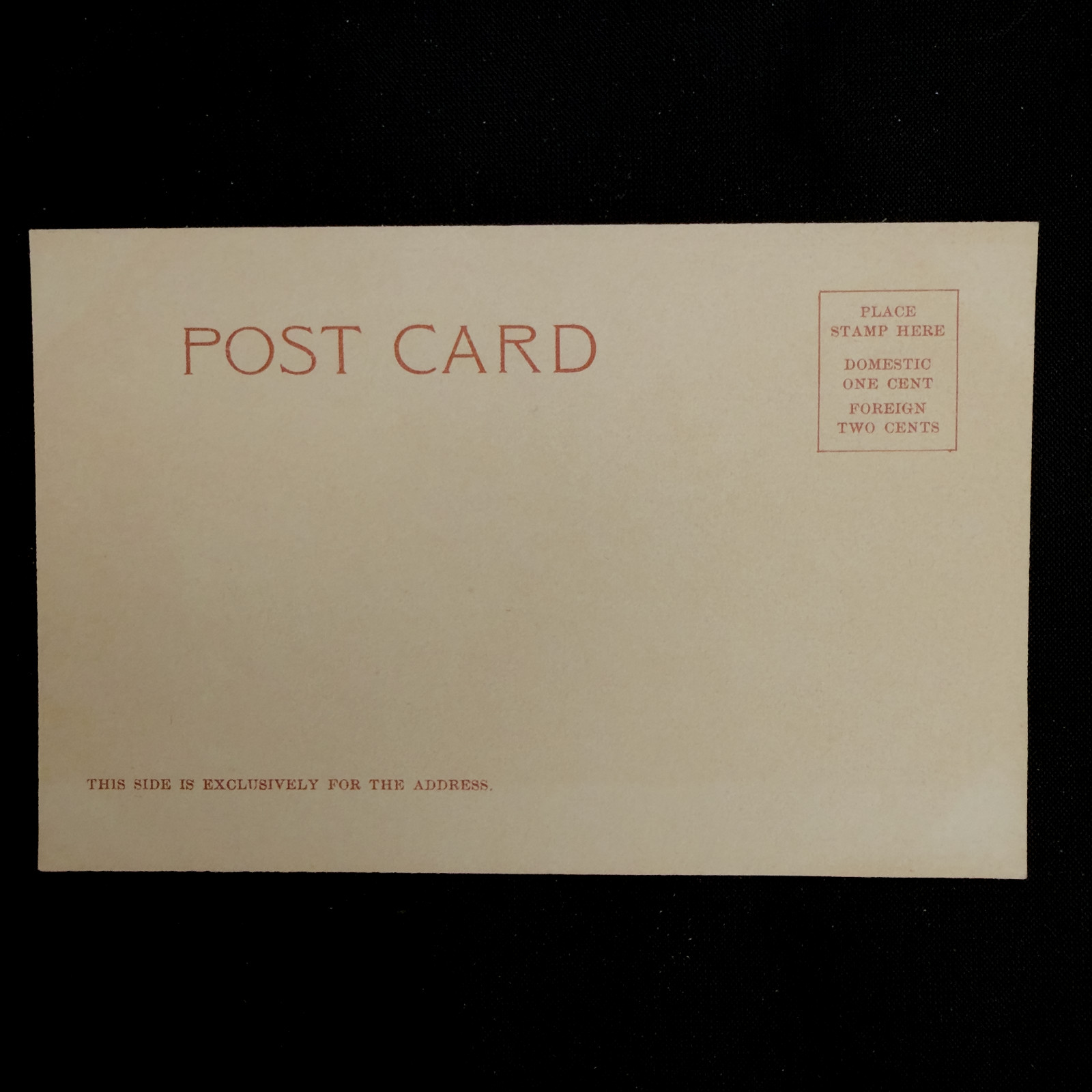 Vintage California Postcard Lot 4 Umbrella Trees Lake Donkey Cart 1900s