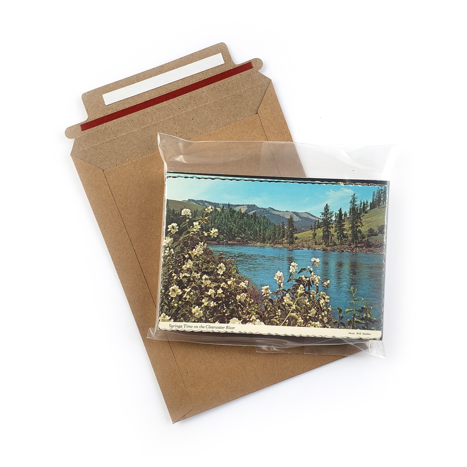 50 Vintage 4×6 Postcards Lot – Unused Unposted Mixed Assorted Old Travel Views