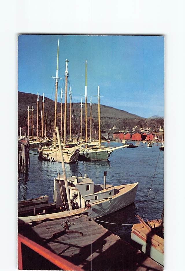 Postcard Windjammer Cruisers Anchor Harbor Coast of Maine USA