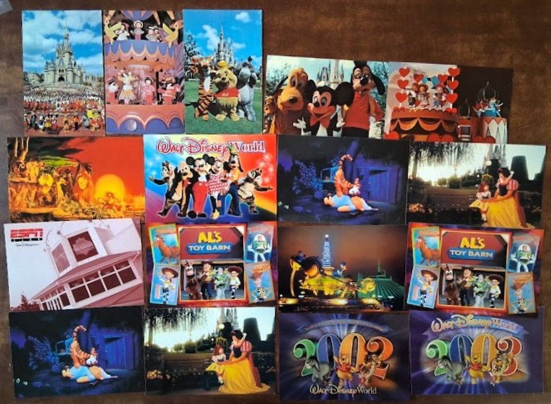 LOT of 35 AMUSEMENT PARK Postcards – WALT DISNEY WORLD / ANIMAL KINGDOM