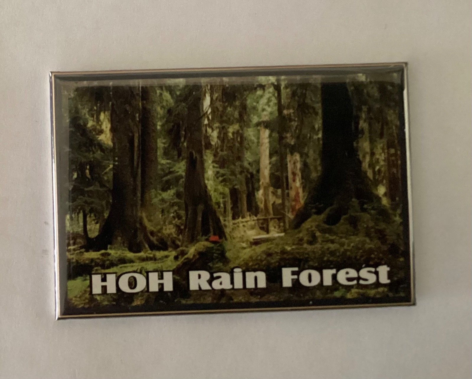 HOH Rain Forest Olympic Peninsula Washington Fridge Magnet Y03