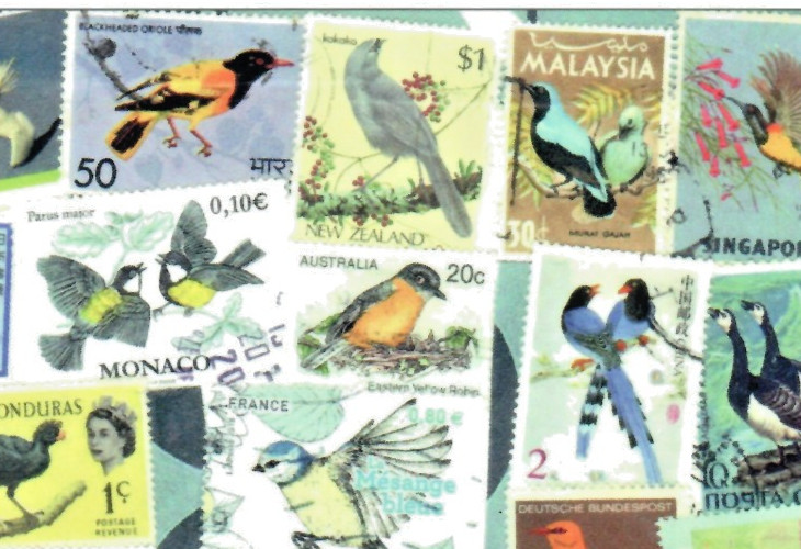 🟢5 Original Postcards for Postcrossers STAMPS FLOWERS BUTTERFLIES World-wide🟤