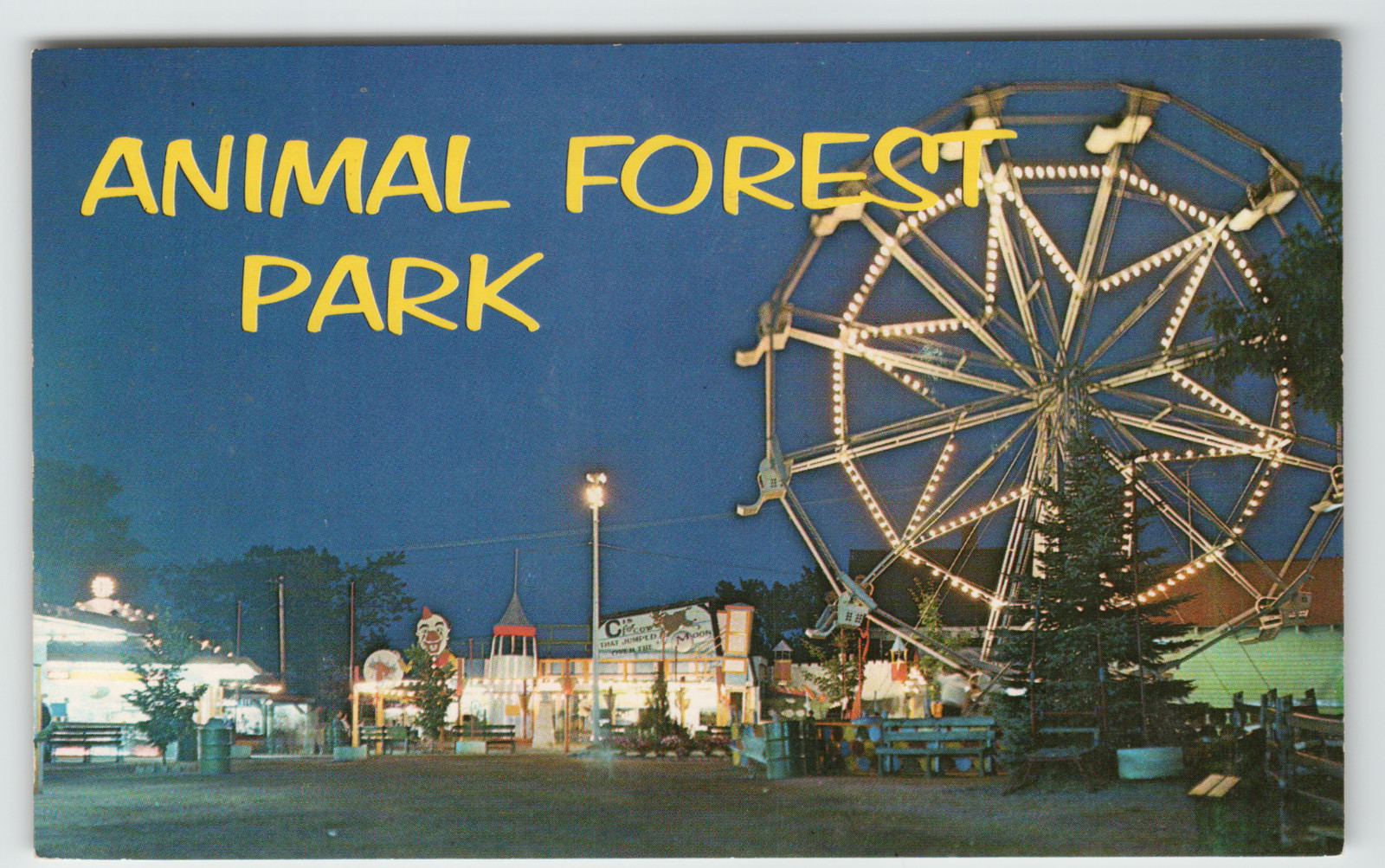Postcard Ferris Wheel at Animal Forest Amusement Park in York Beach, ME.