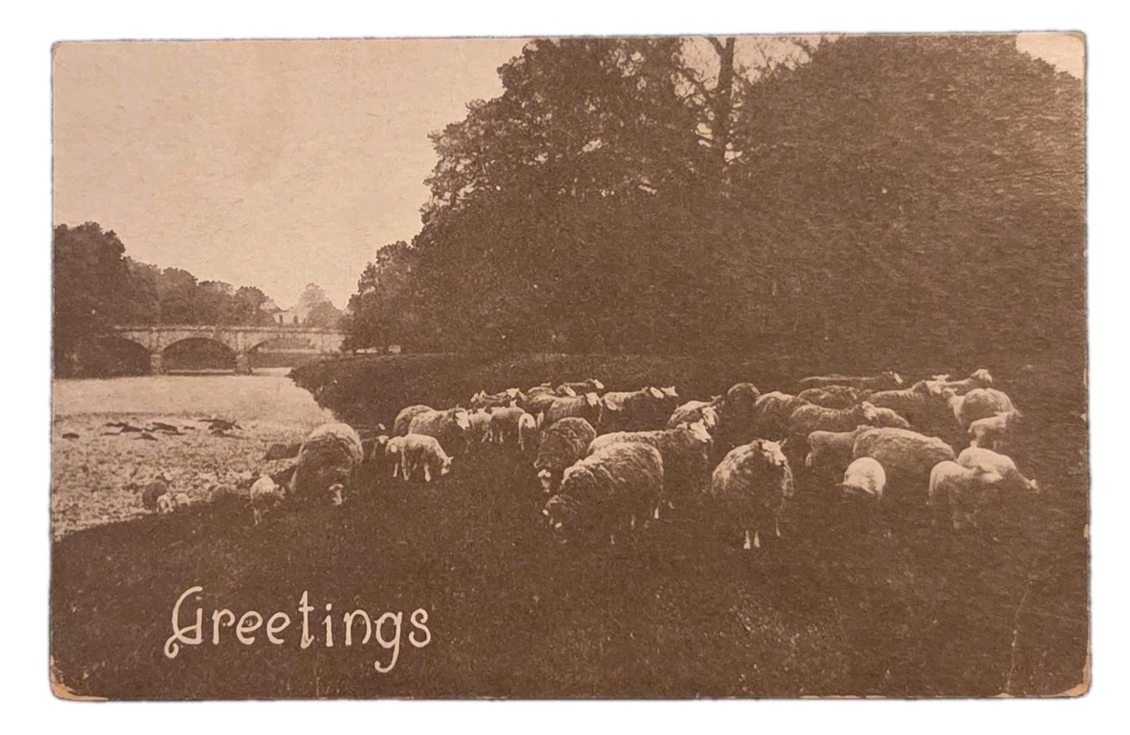 Antique Postcard Pastoral Sheep Herd Bridge Bridge Divided Back Christmas
