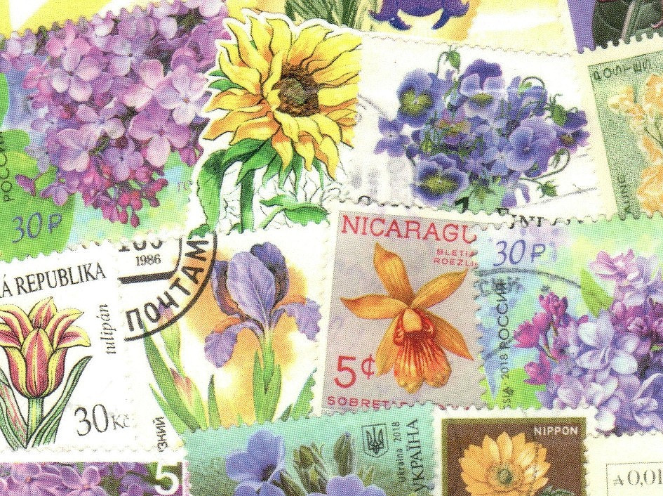 🟢5 Original Postcards for Postcrossers STAMPS FLOWERS BUTTERFLIES World-wide🟤