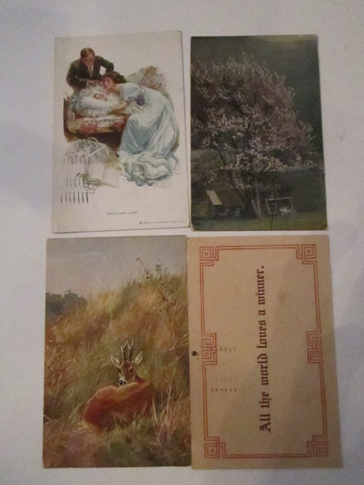 20 VINTAGE POSTCARDS – VARIOUS ARTISTS – PRE 1911 – COLLECTIBLE – LOT F TUB ABC