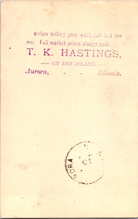Vintage Postal Card Aurora Illinois T.K. Hastings Wool Buyer postmark 1894 C-424