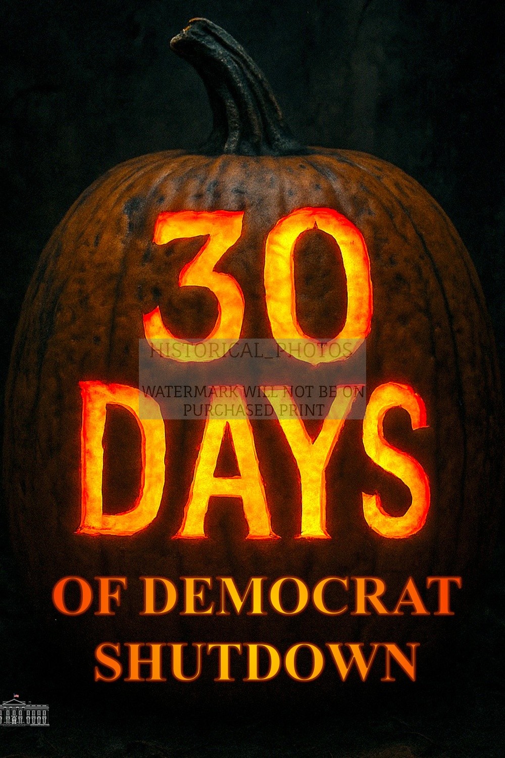 30 DAYS OF DEMOCRAT SHUTDOWN HALLOWEEN PUMPKIN WHITE HOUSE 4X6 POSTCARD PHOTO