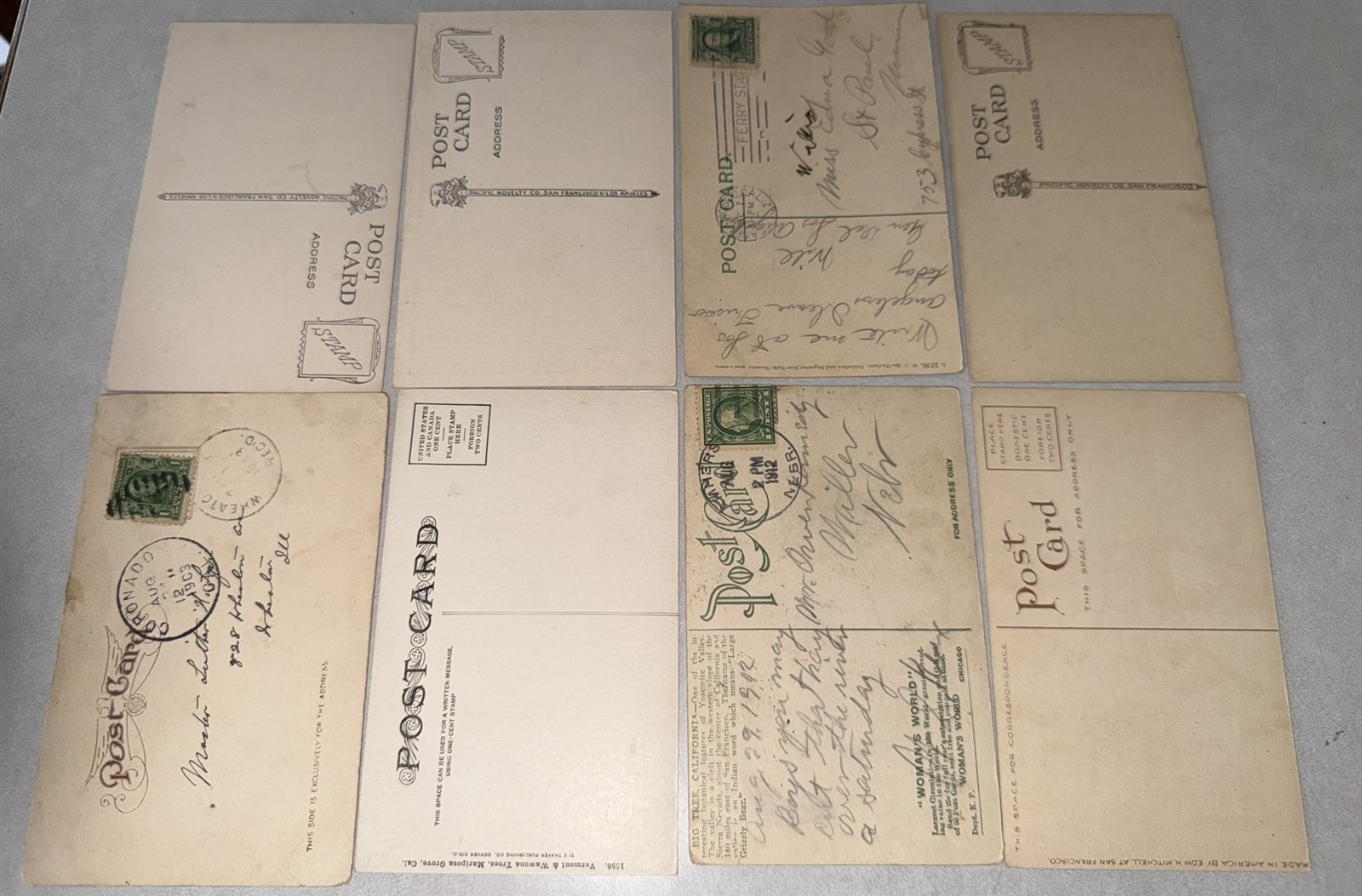 38 different 1907-1920 California Redwood Postcards Redwood Trees Awesome lot!