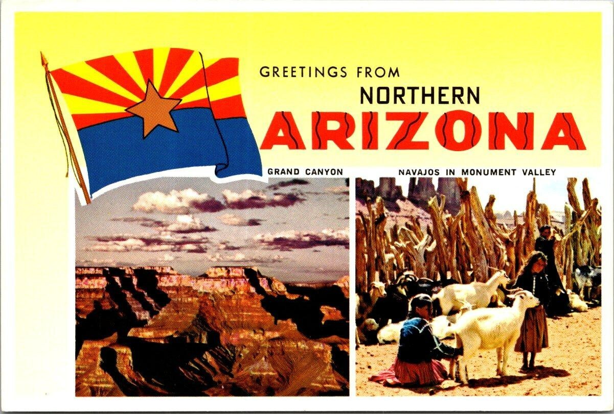 Vintage Postcard Greetings From Arizona USA Goats Girl Flag