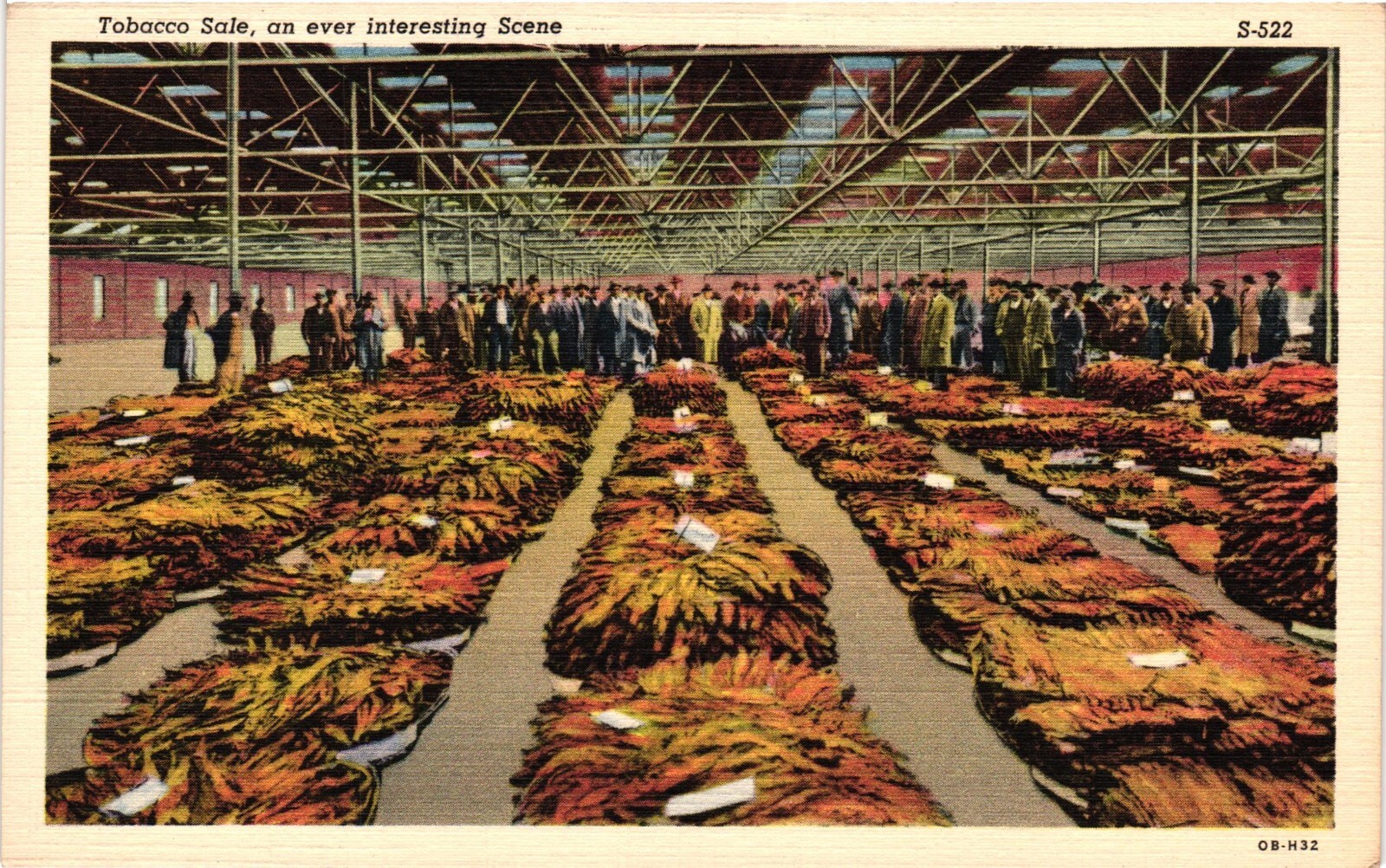 Vintage Postcard – Tobacco Sale Bidders And Buyers Stand Around Ready To Buy