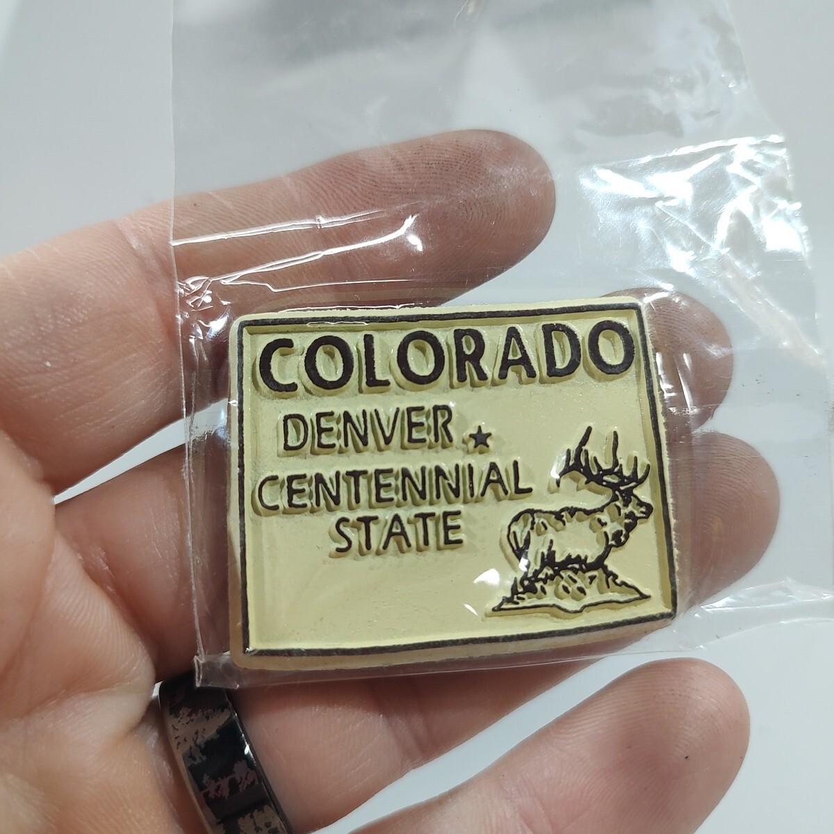 State Souvenir Magnet Colorado Fridge Refrigerator State Shaped Keepsake