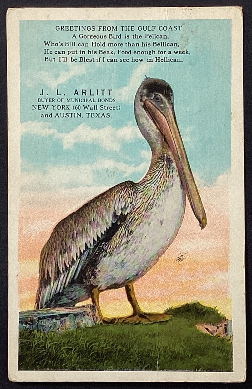 Greetings from Gulf Coast Pelican JL Arlitt Bond Buyer VTG Postcard Posted 1923