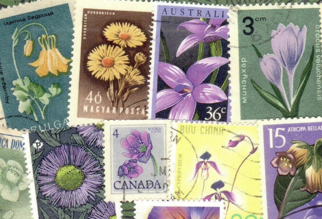 🟢5 Original Postcards for Postcrossers STAMPS FLOWERS BUTTERFLIES World-wide🟤