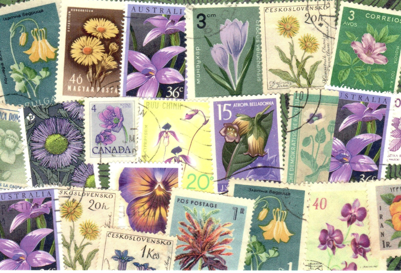🟢5 Original Postcards for Postcrossers STAMPS FLOWERS BUTTERFLIES World-wide🟤
