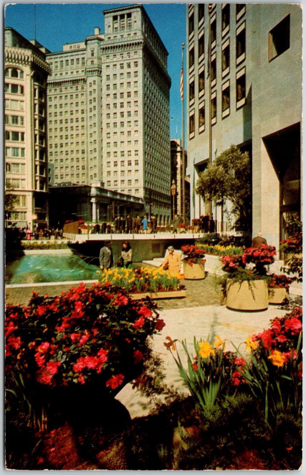 San Francisco USA Downtown Garden 555 Market Street Flowers Postcard