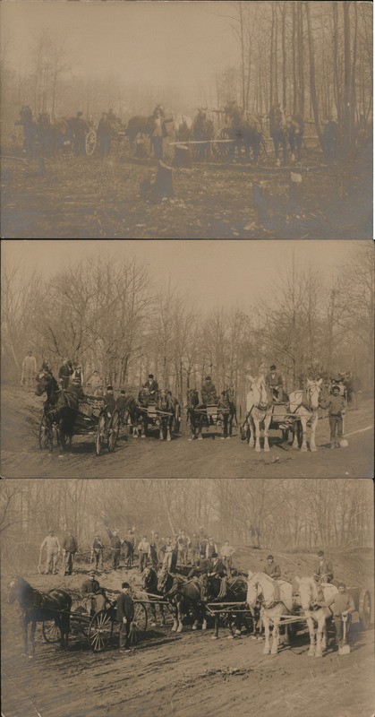 Lot of Men with Horses, Logging Scenes Occupational Original Vintage RPPC