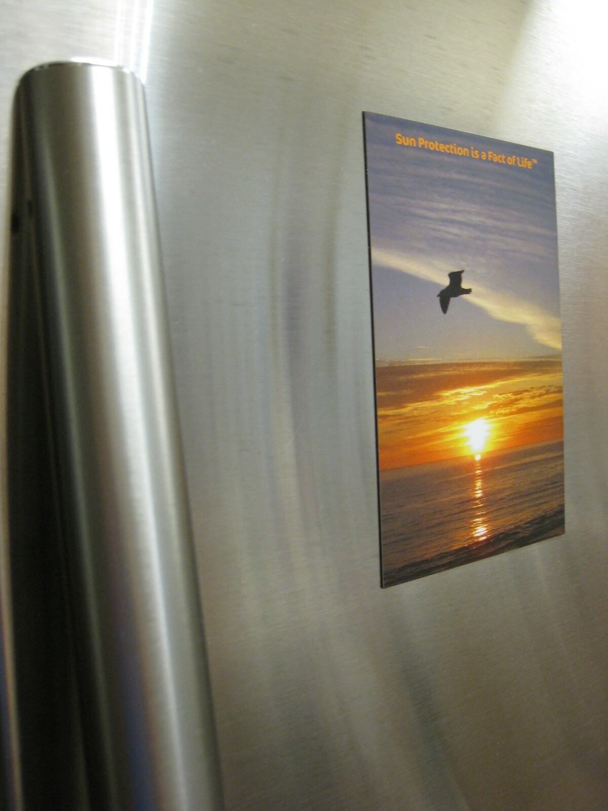 FRIDGE MAGNET 4×6″ SUN PROTECTION IS A FACT OF LIFE Souvenir Refrigerator MAGNET