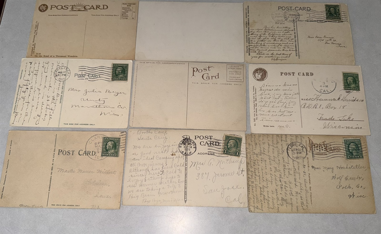 38 different 1907-1920 California Redwood Postcards Redwood Trees Awesome lot!