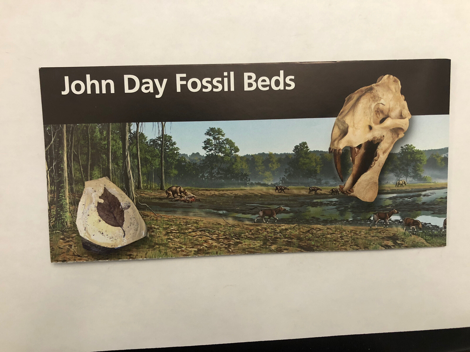 John Day Fossil Beds National Monument Park Unigrid Brochure Map Newest Version