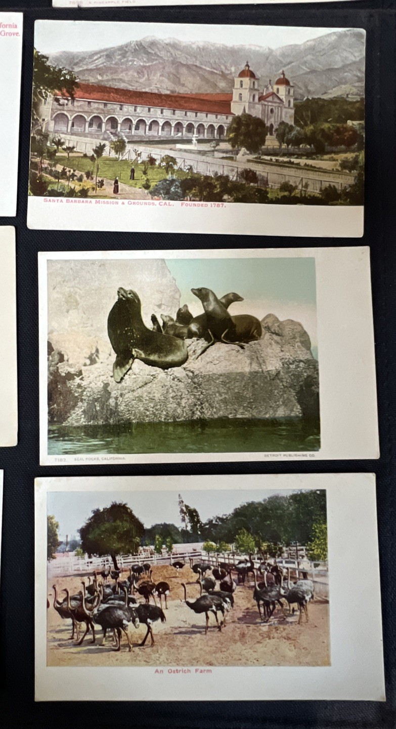 Lot of 15 Early California Postcards San Juan Capistrano Mission Riverside HS ++
