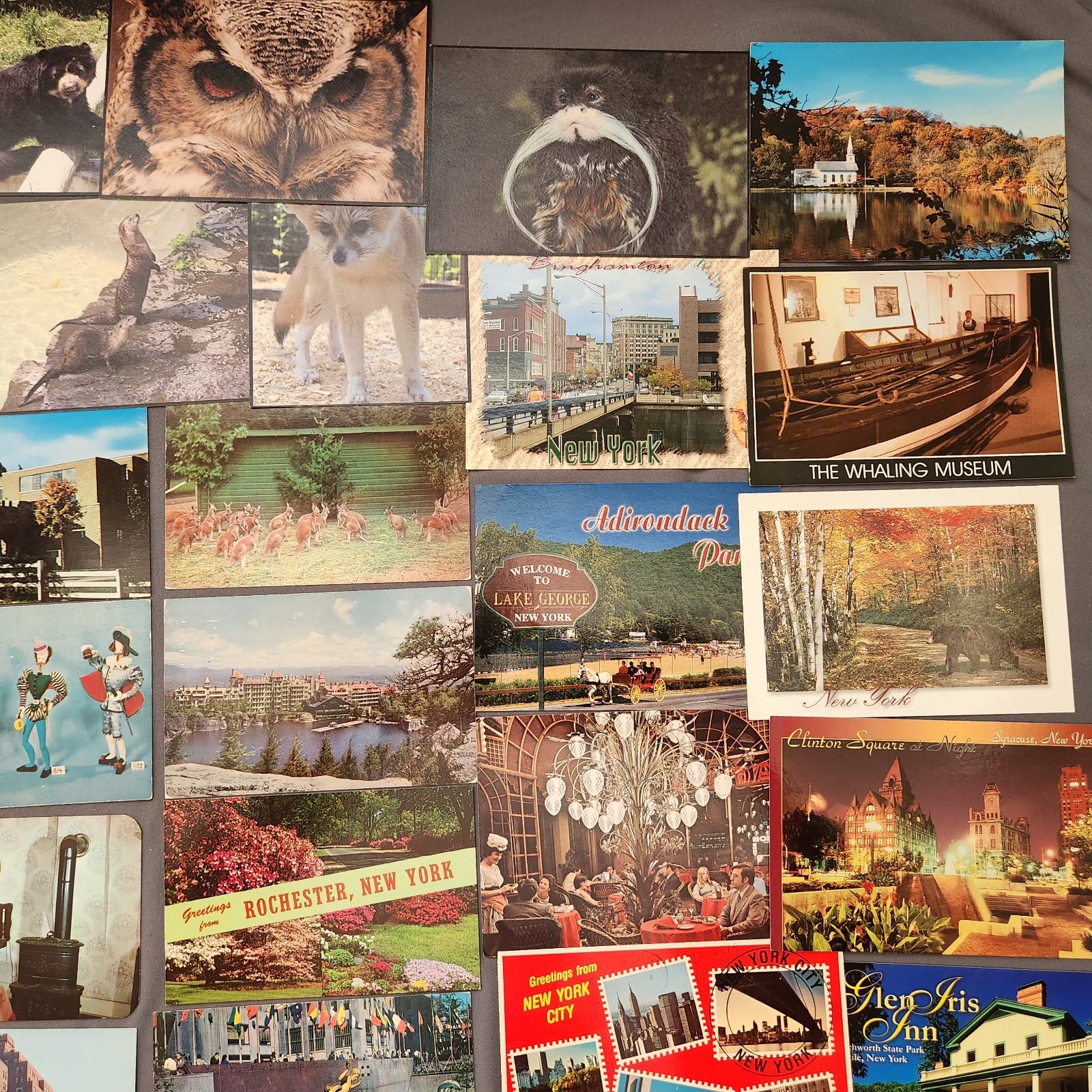 Lot of 89 NEW YORK Postcard Wildlife Nature Cities Landmark 1907 -2000’s Mix
