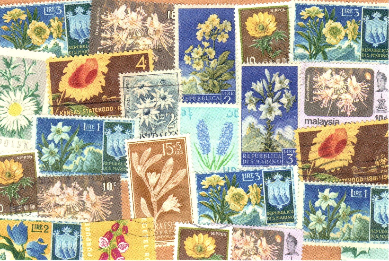 🟢5 Original Postcards for Postcrossers STAMPS FLOWERS BUTTERFLIES World-wide🟤