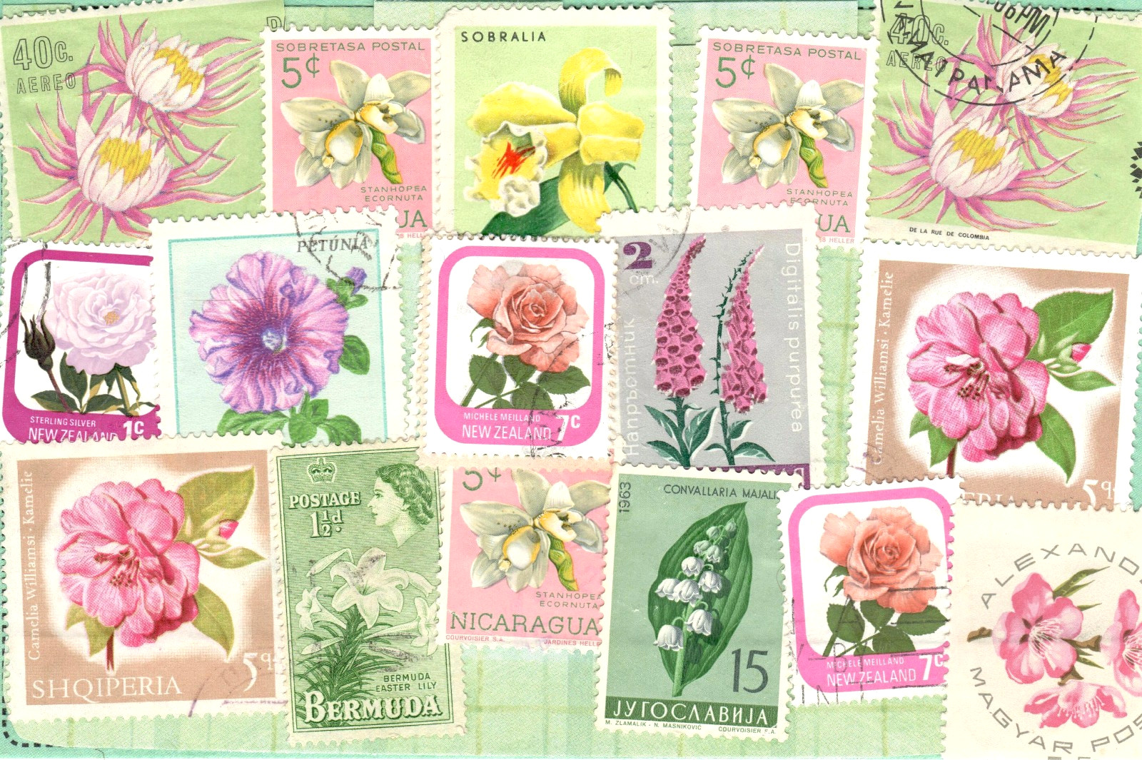 🟢5 Original Postcards for Postcrossers STAMPS FLOWERS BUTTERFLIES World-wide🟤