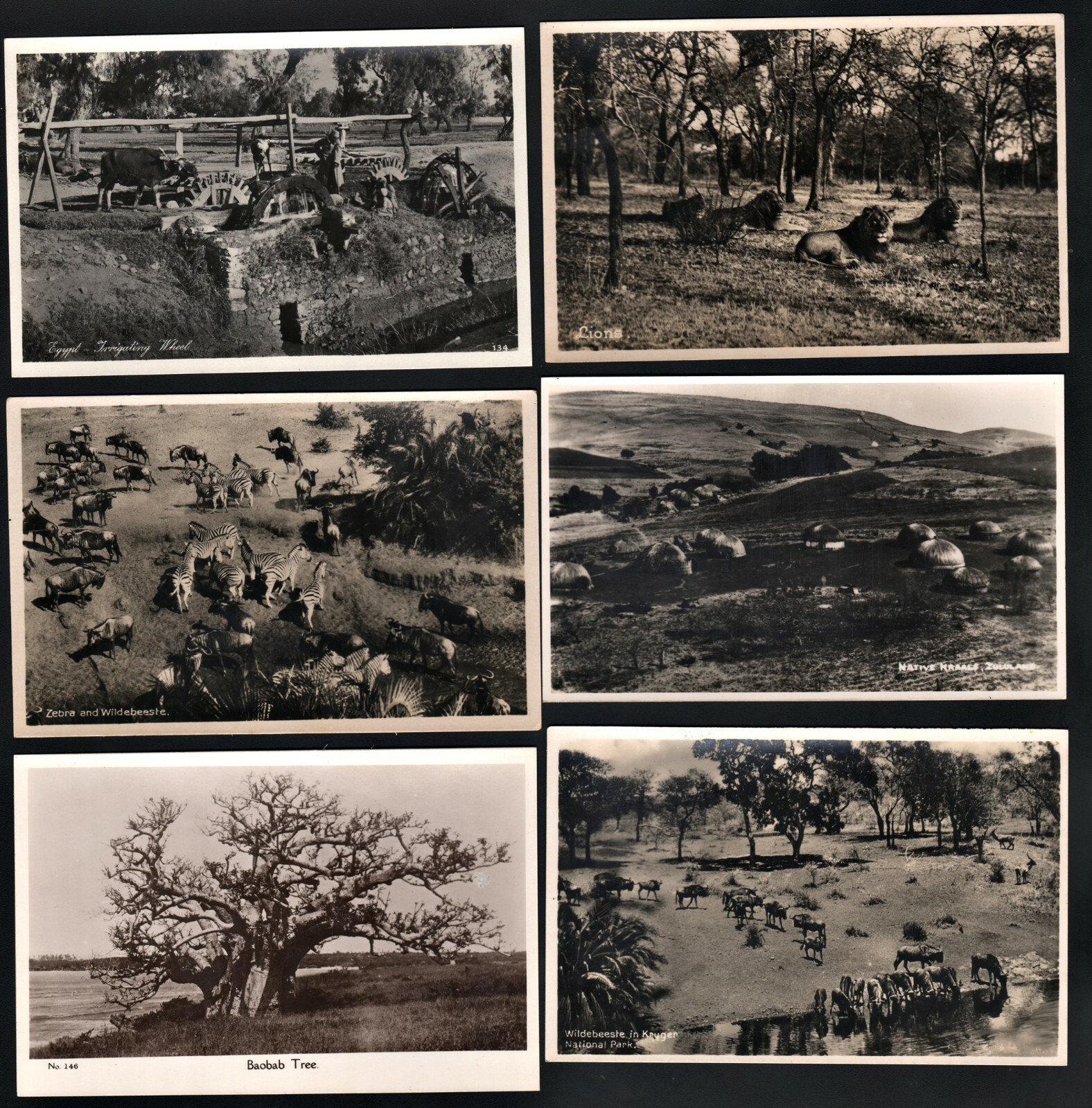 RPPC Lot of 36 African Postcards Cairo Pretoria Khartoum Sudan Kimberley