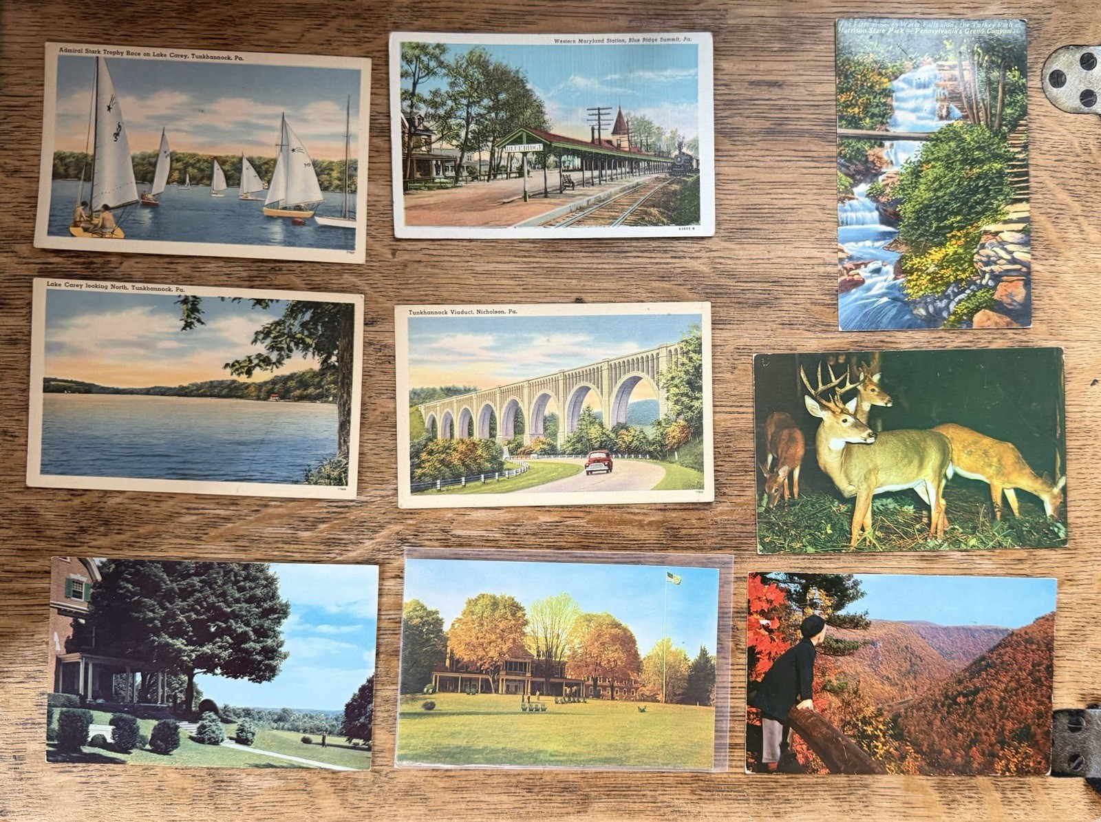 37 VTG Pennsylvania Postcards PA Souvenir Unposted Mixed Collection Some Sleeved